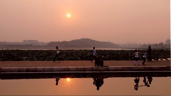 《平和》作者：刘虹