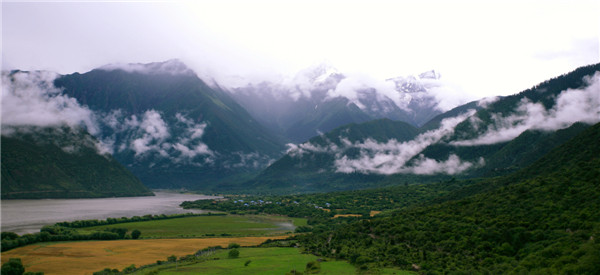 美丽中国-秀美灵芝
