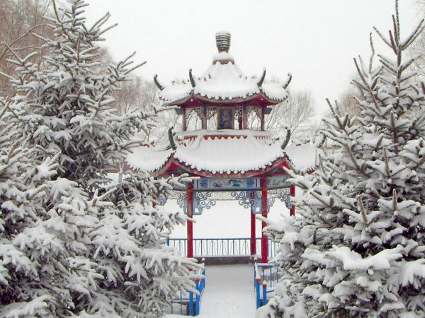 冬已来，春会远？