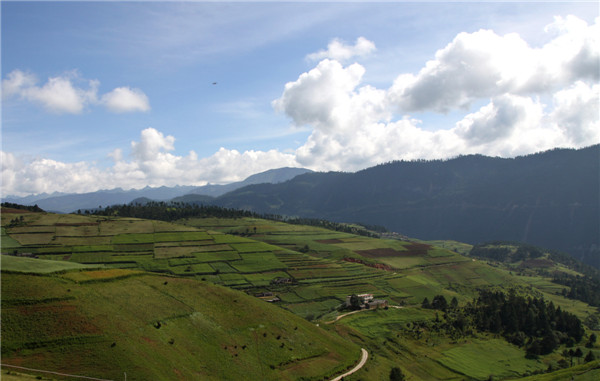 香格里拉的梯田