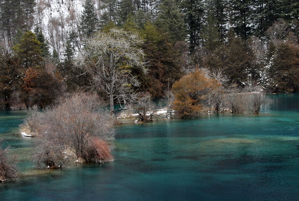 《宝石之蓝》作者：伍宁杰