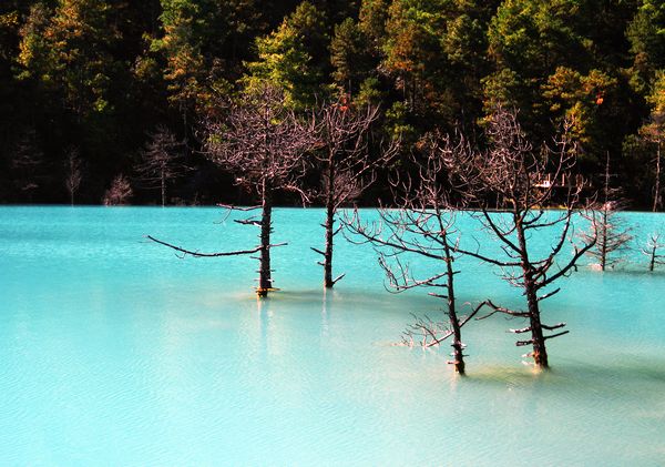 《雪山脚下》作者：梁忠