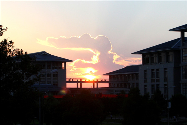 校园一角--腾飞