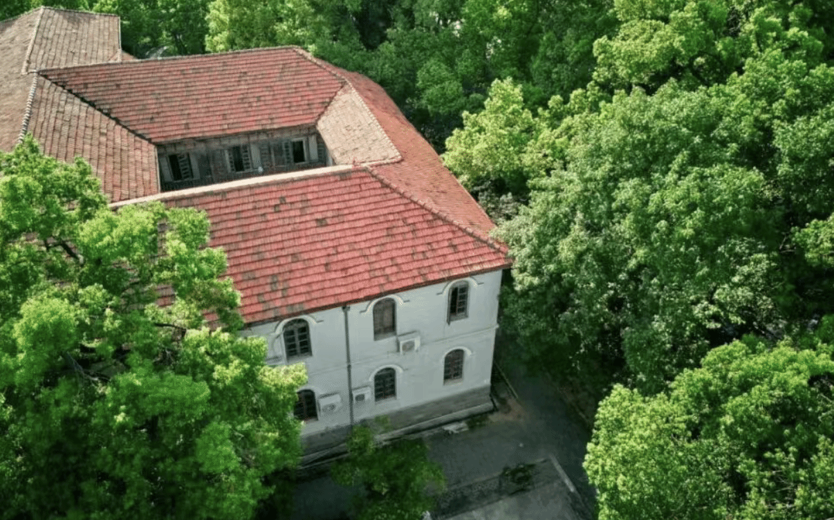 湖北中医药大学的夏天，超美！