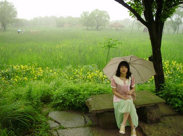 春之韵——等待